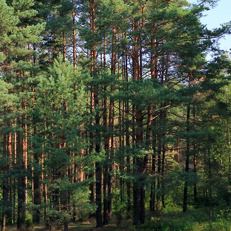 Apartamentai Laima Ντρουσκινινκάι Εξωτερικό φωτογραφία